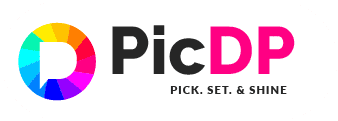 PicDP